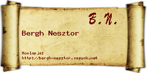 Bergh Nesztor névjegykártya